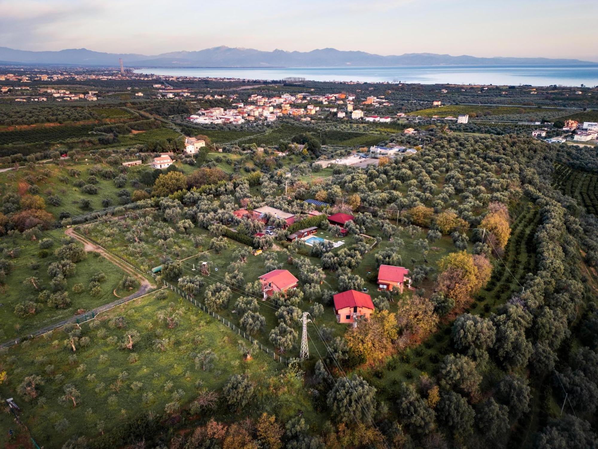 Bed and Breakfast La Piana Degli Ulivi Rossano Exterior foto