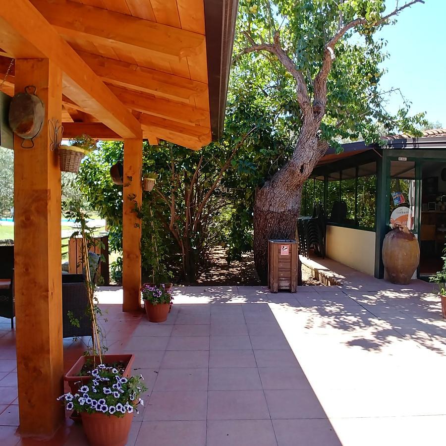 Bed and Breakfast La Piana Degli Ulivi Rossano Exterior foto